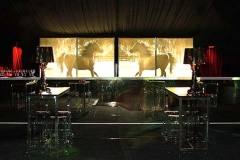 Bar Displays Mirror Bar Gold Horses