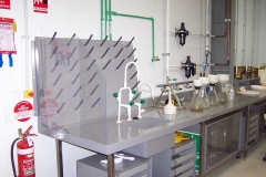 Lab Benches with drying rack